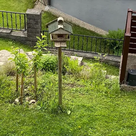 Schone Nahe Traunsee Daire